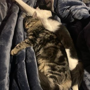 Meet your Posher, Vanessa